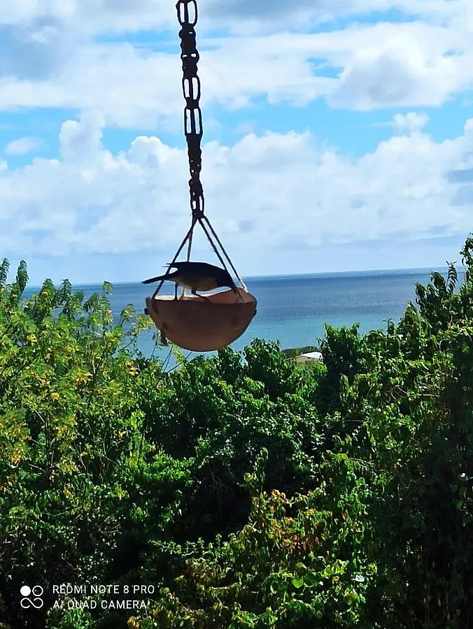 Bambou Apartment Sainte-Luce Martinique